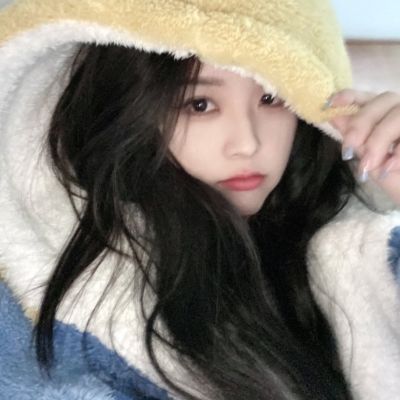 香港2023正版免费资料