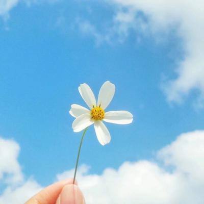 新澳门六开彩资料大全app下载