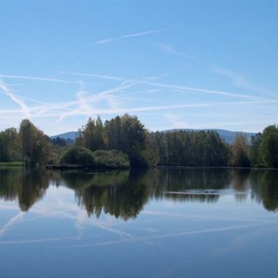 爱游戏体育下载