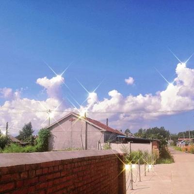 今天买什么特马app下载