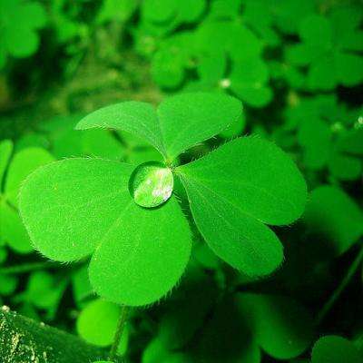 极速赛车游戏下载手机版