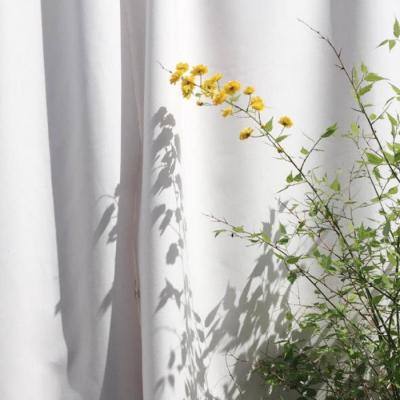 NG体育·(南宫)手机app下载